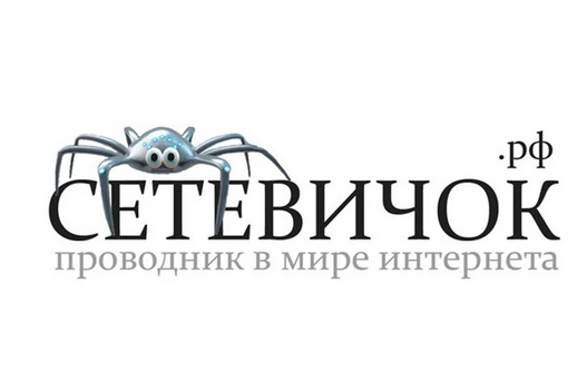 Проект «Сетевичок»